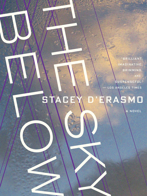 Title details for The Sky Below by Stacey D'Erasmo - Available